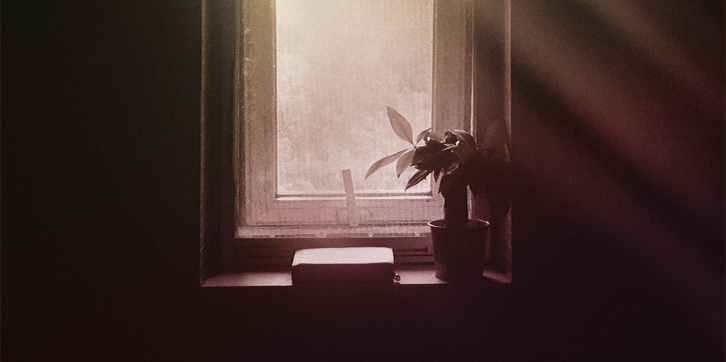 In a dark room, light seeps in through a foggy window with a book and leafy plant perched on the sill.